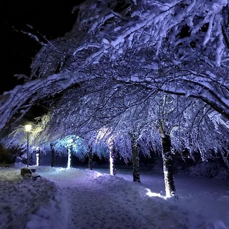 Schoene Bergsicht Гослар Екстер'єр фото