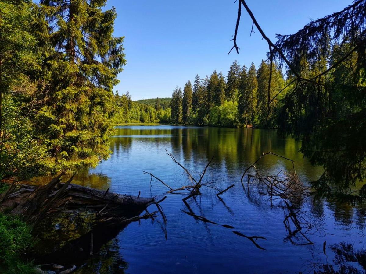 Schoene Bergsicht Гослар Екстер'єр фото